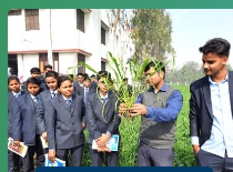Agriculture